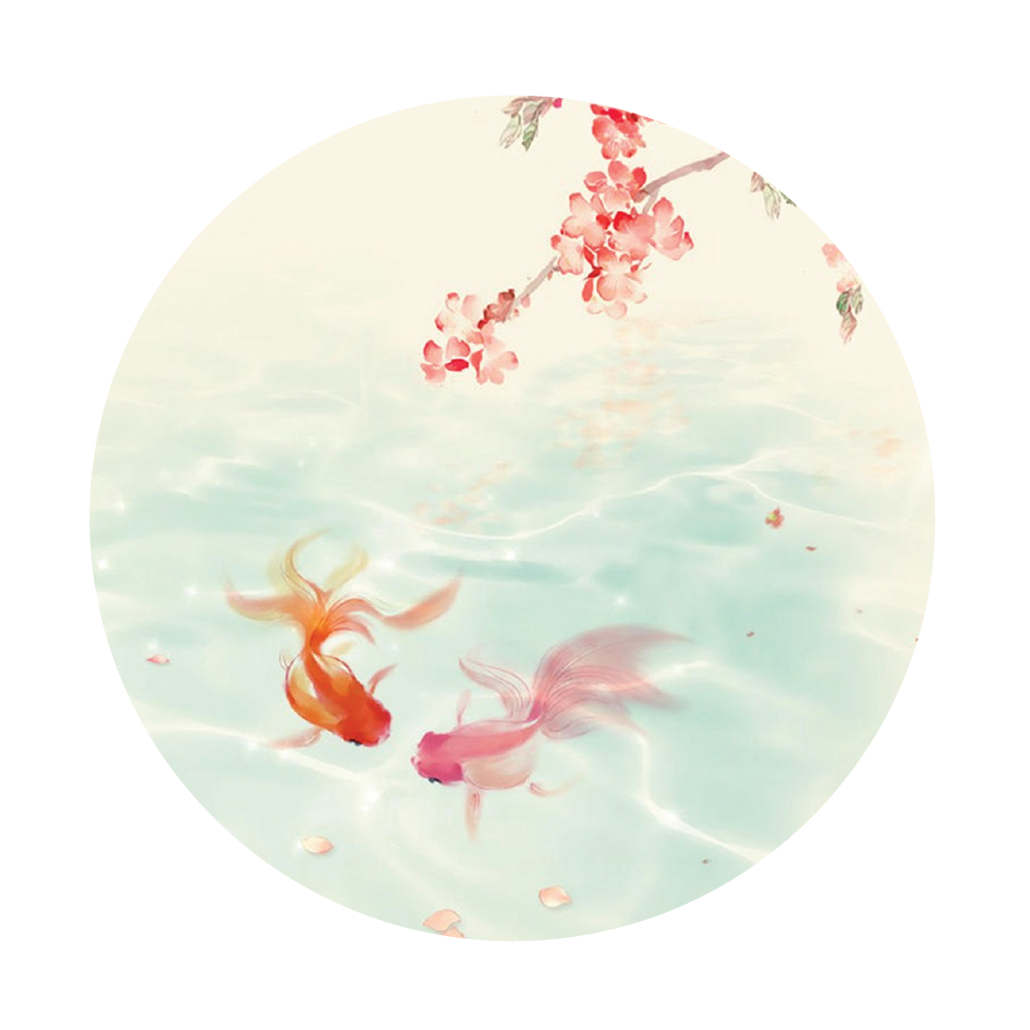A 鱼·乐