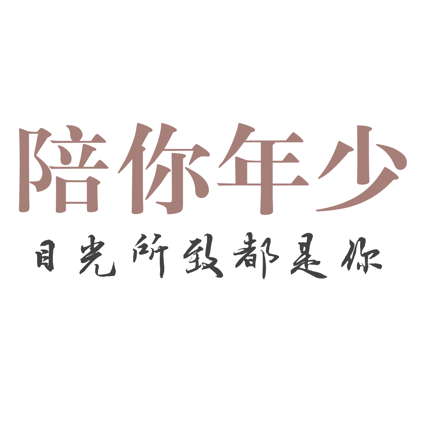 陪你年少