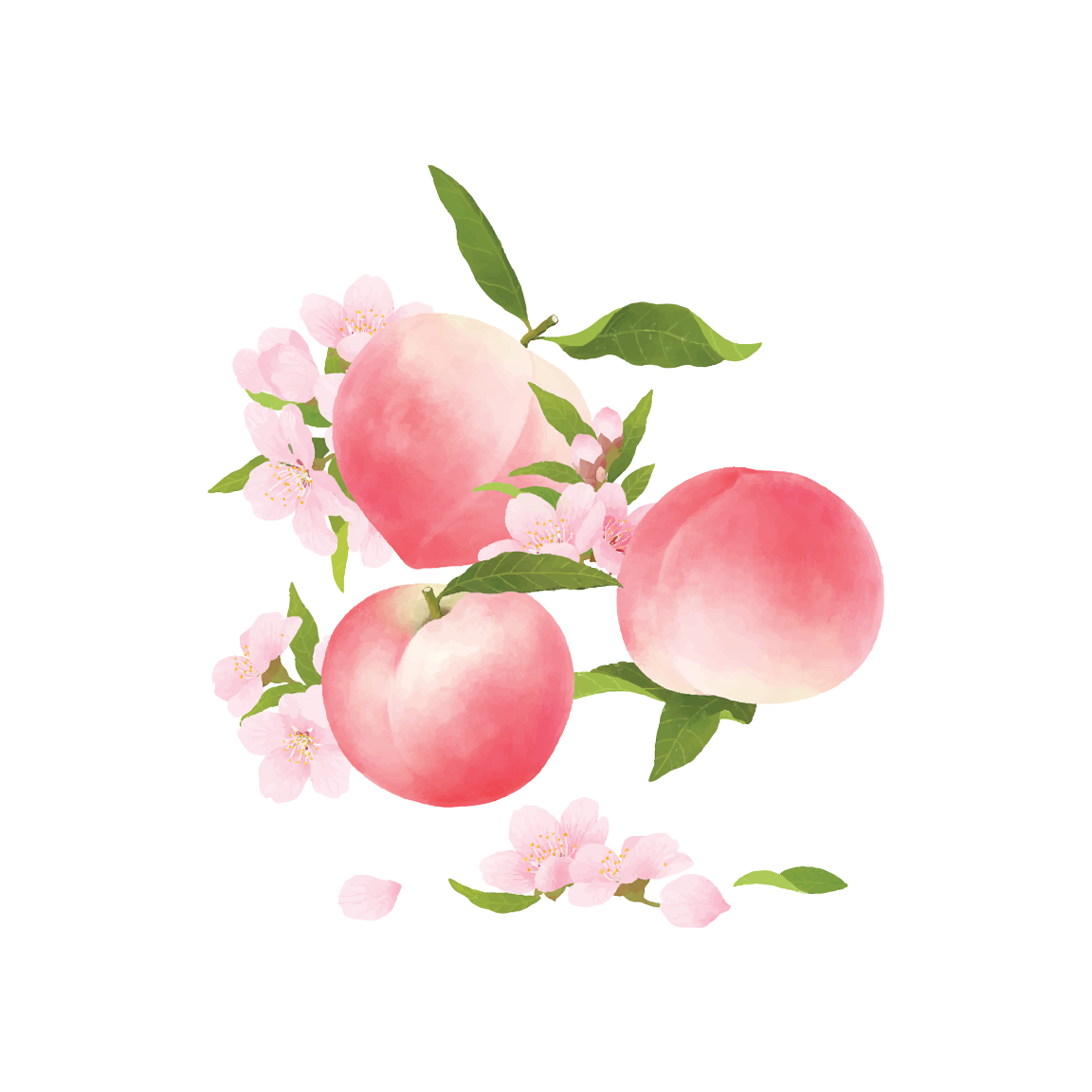 桃