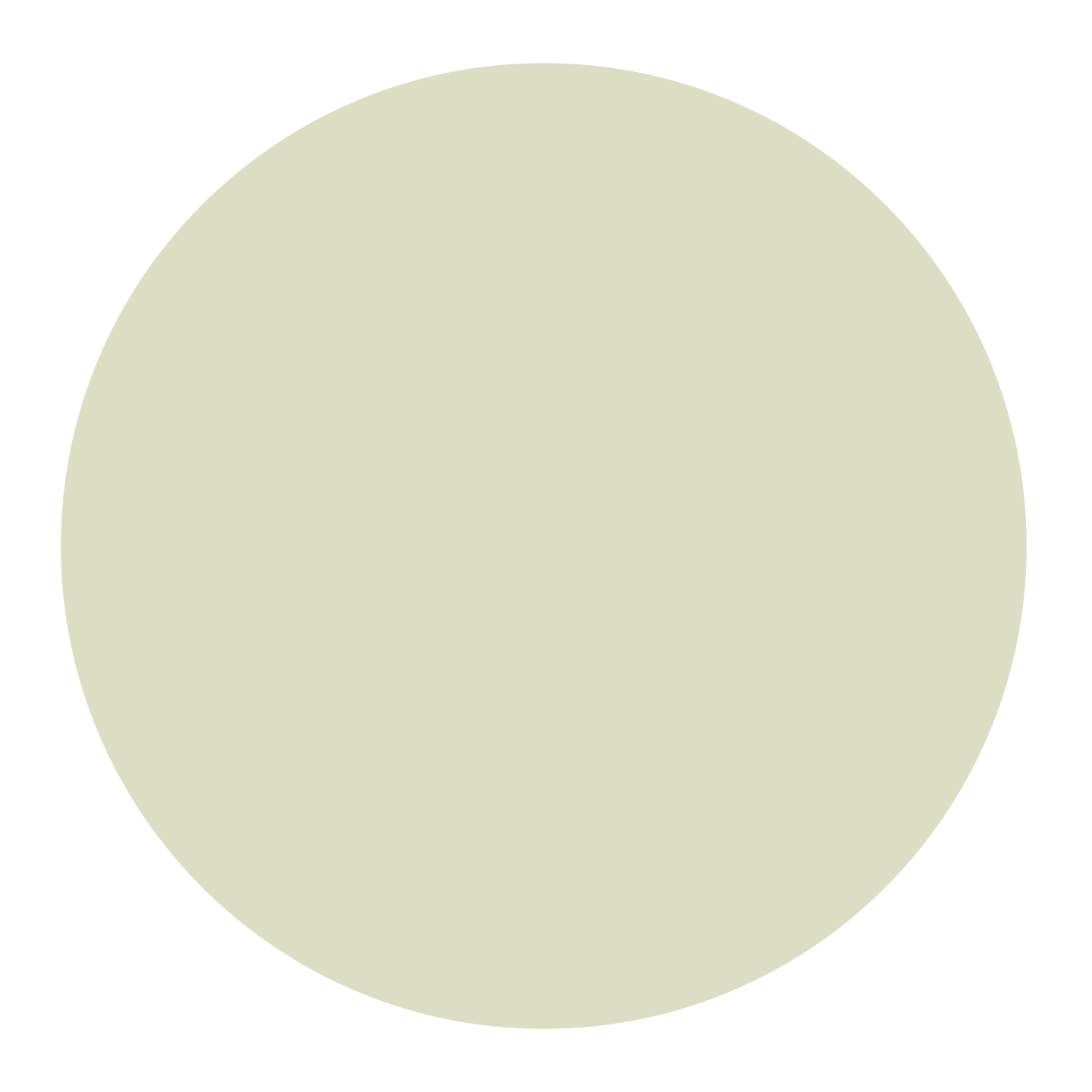 Barley Beige