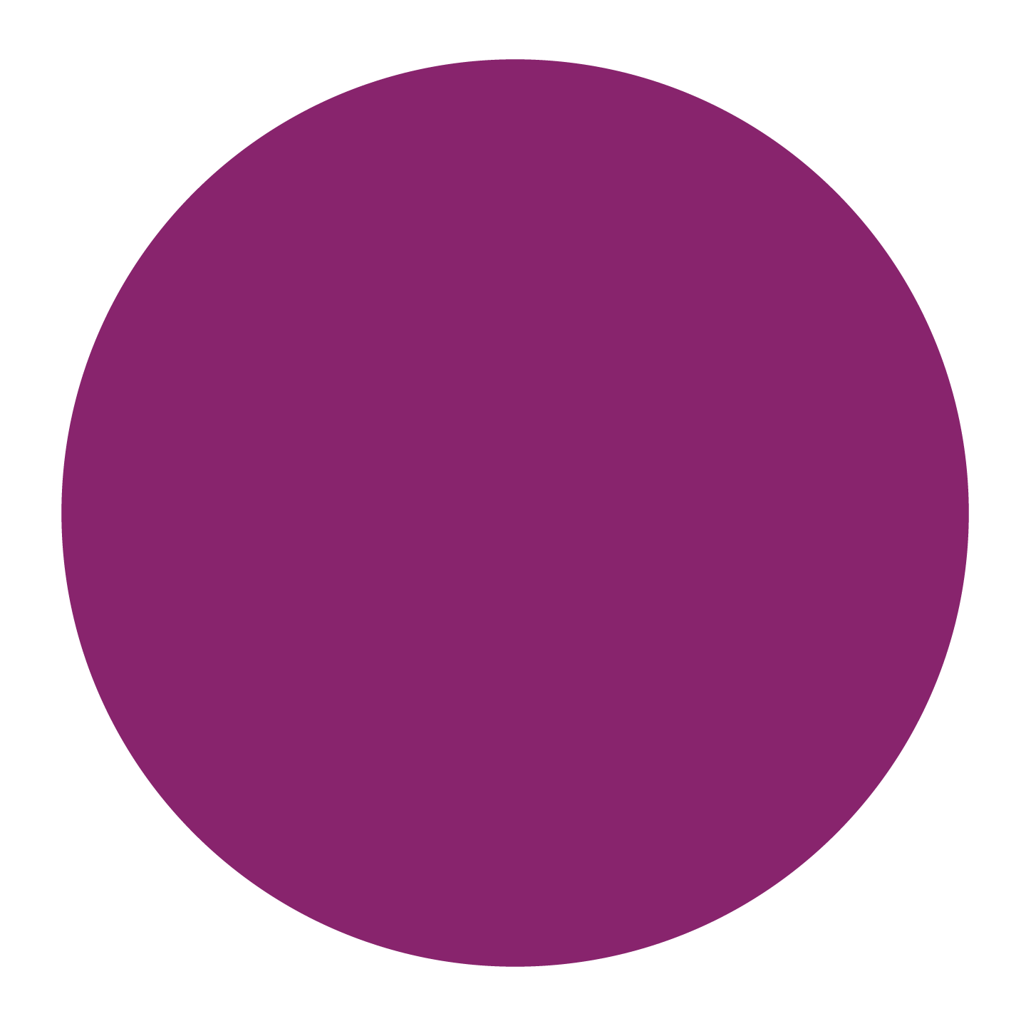 Orchid Purple