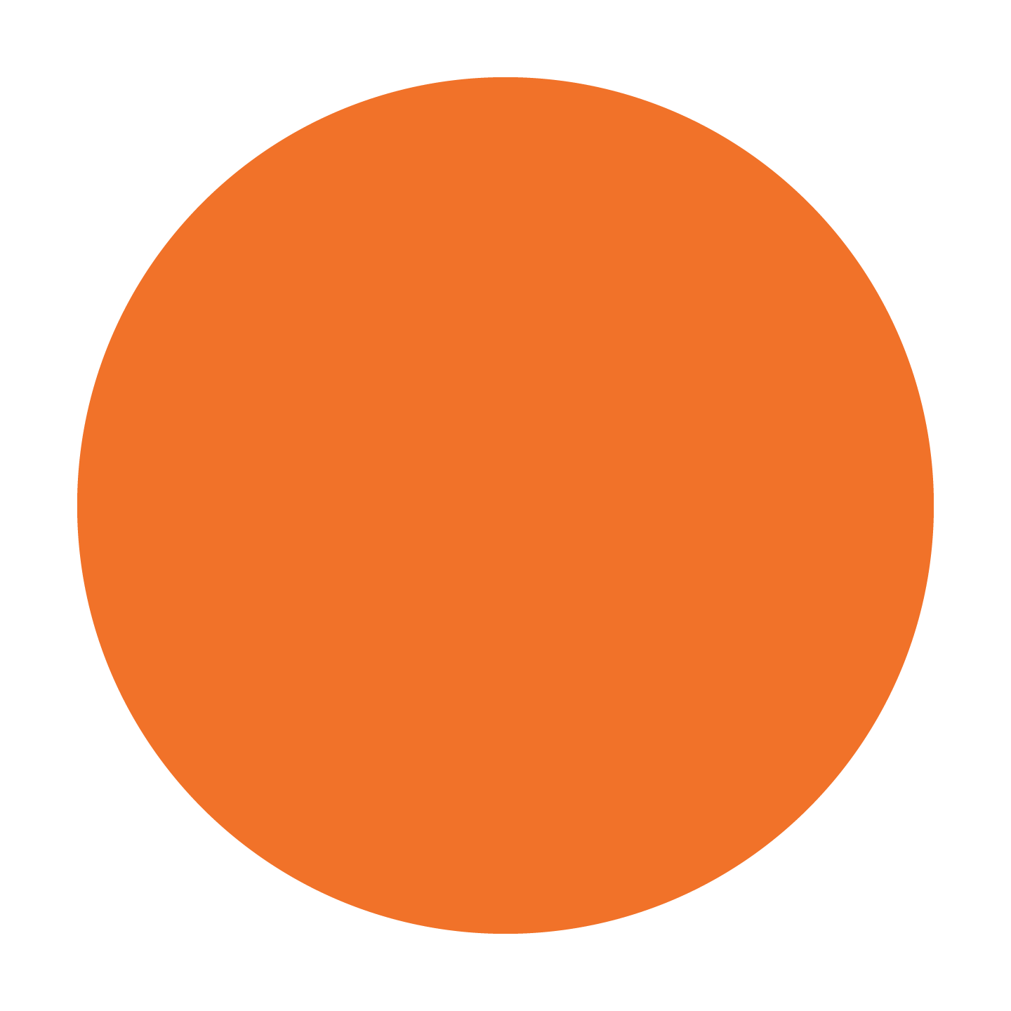 Burnt Orange