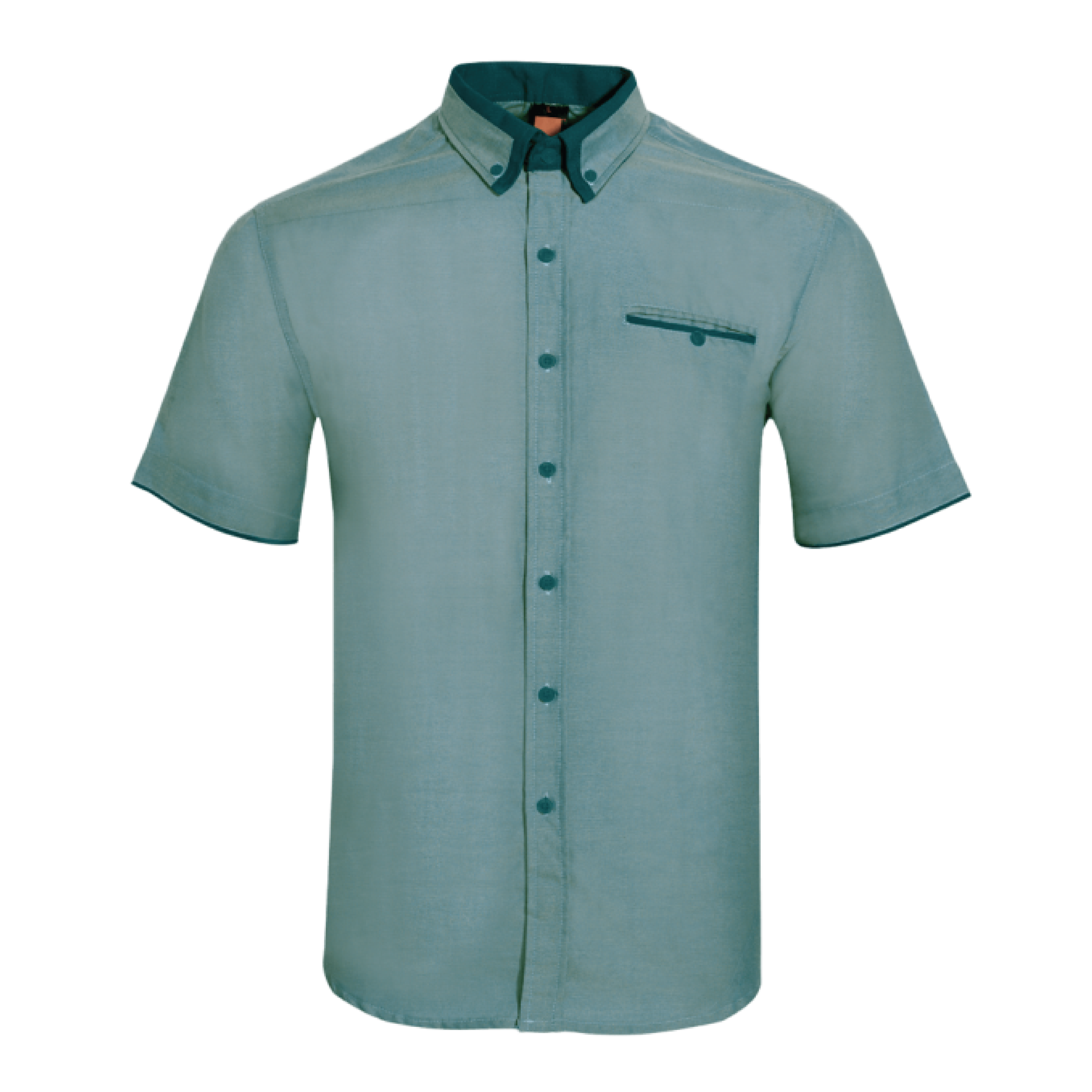 (M) Midnight Green/Midnight Green