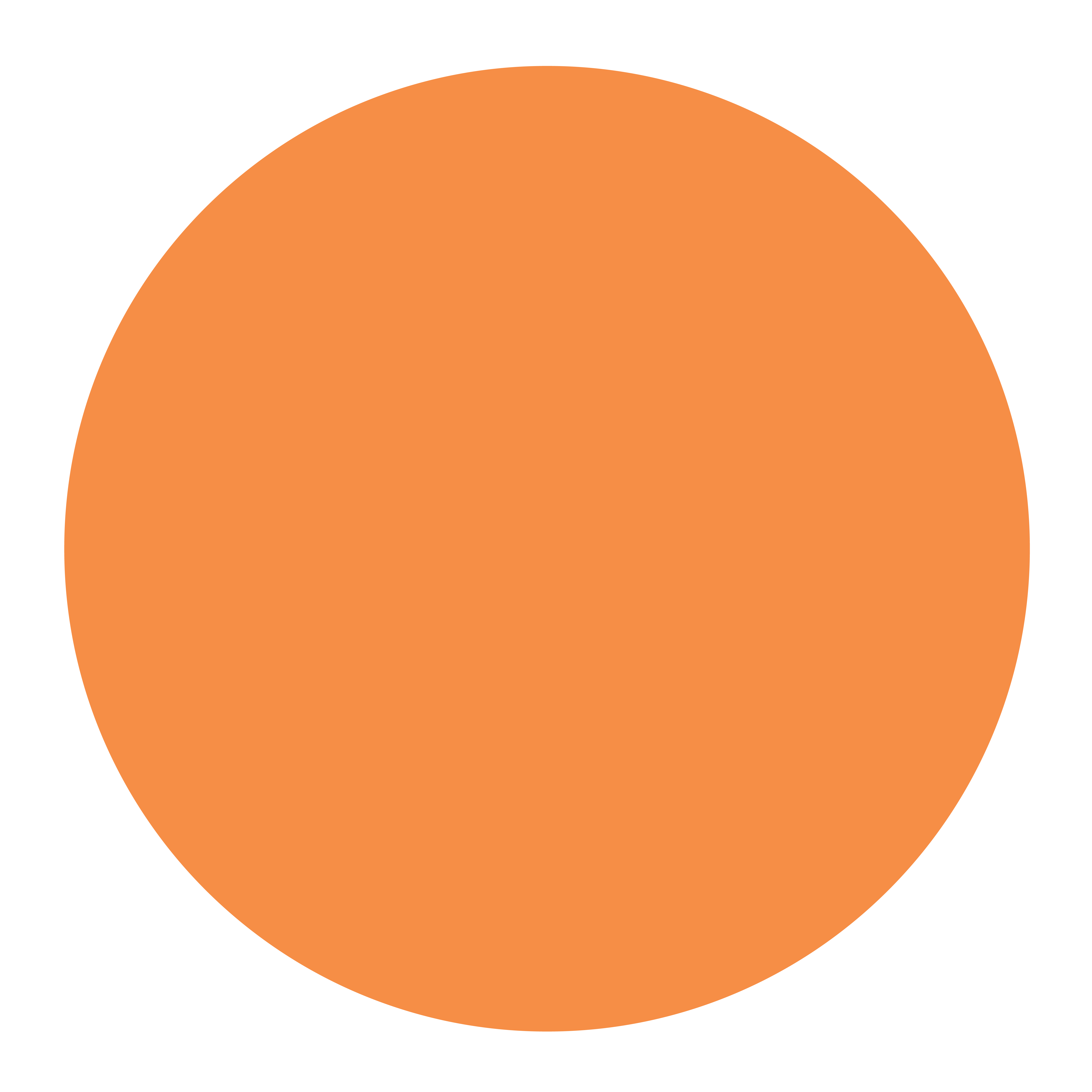 Burnt Orange
