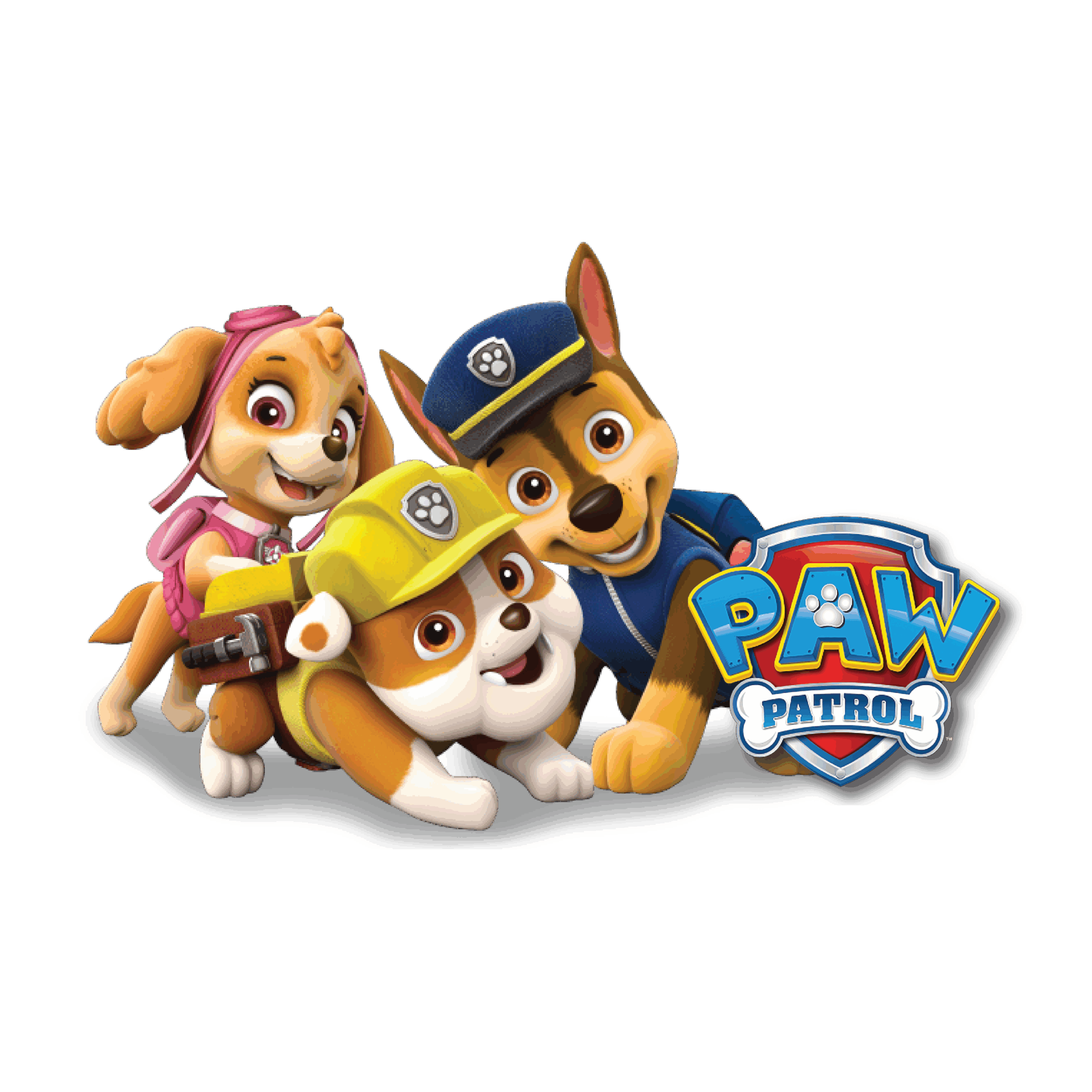 Paw Patrol 10