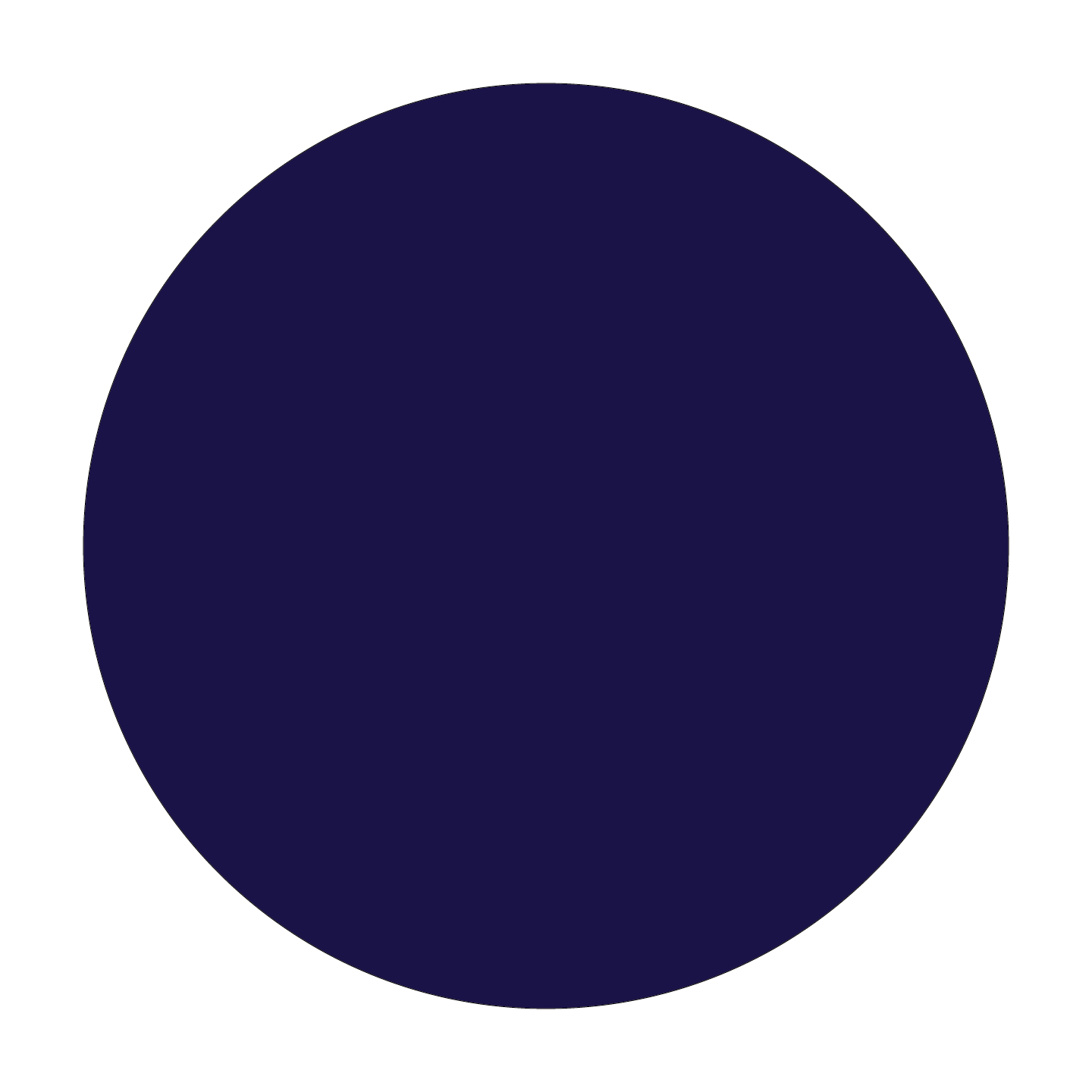 03 Navy Blue