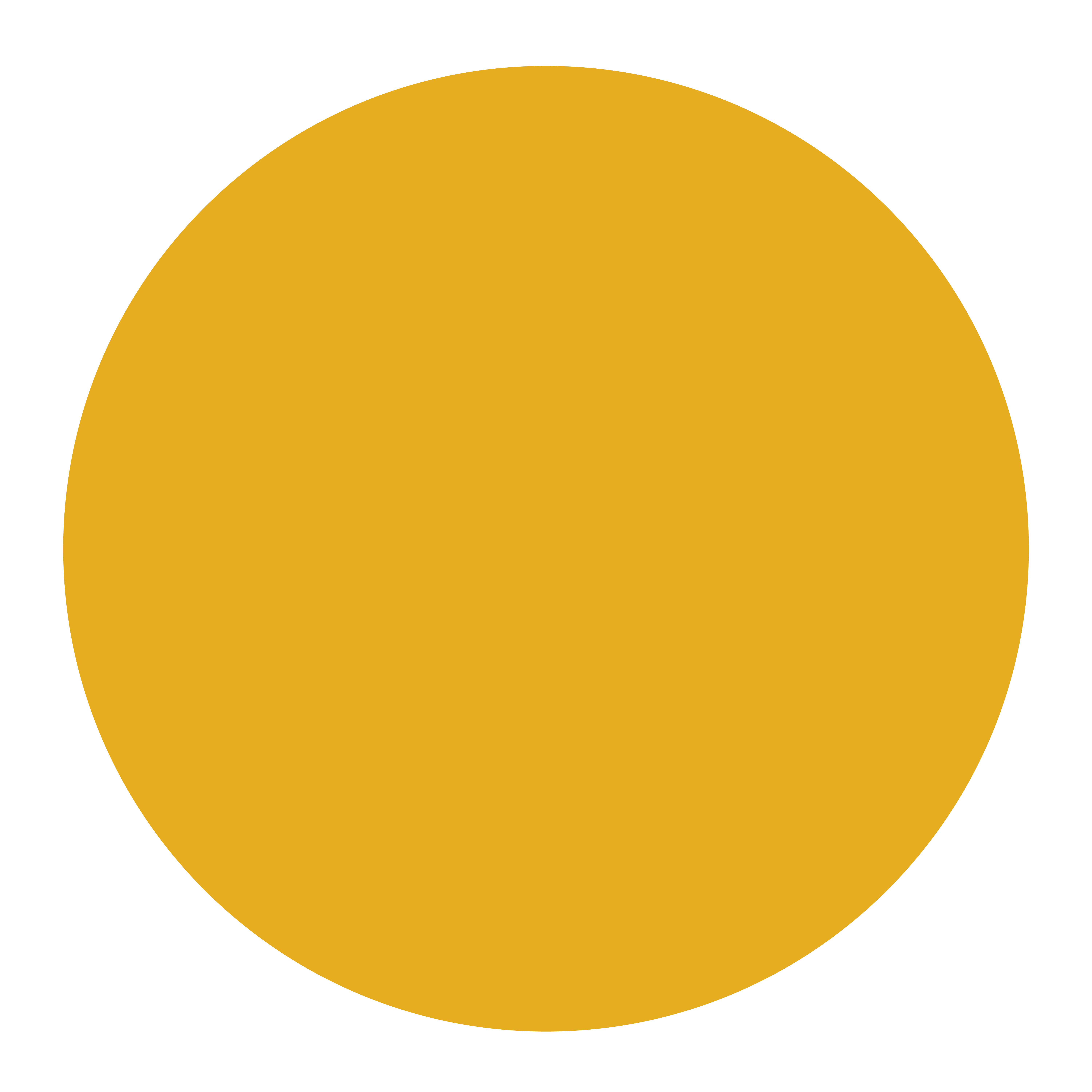 16 Banana