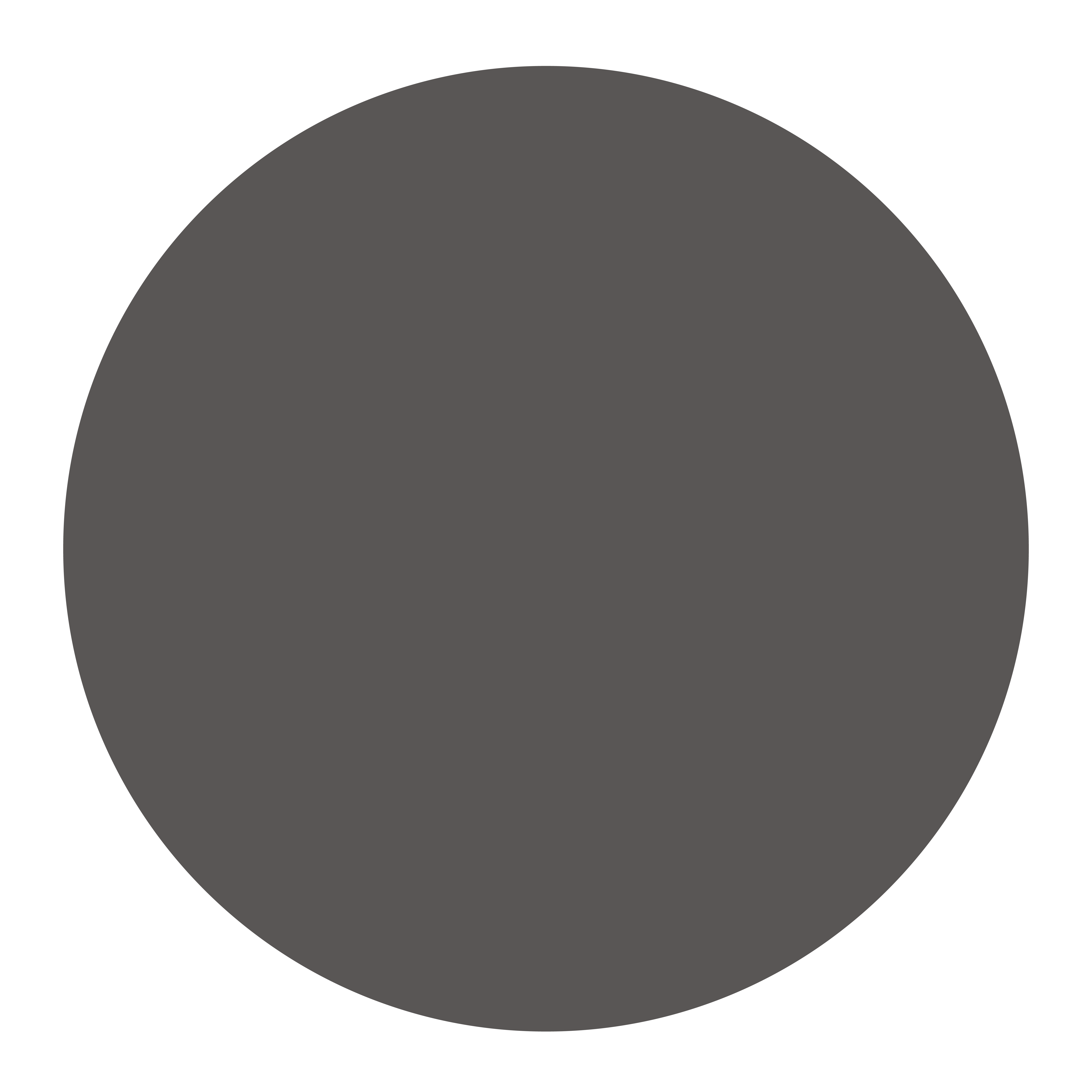 07 Iron Grey