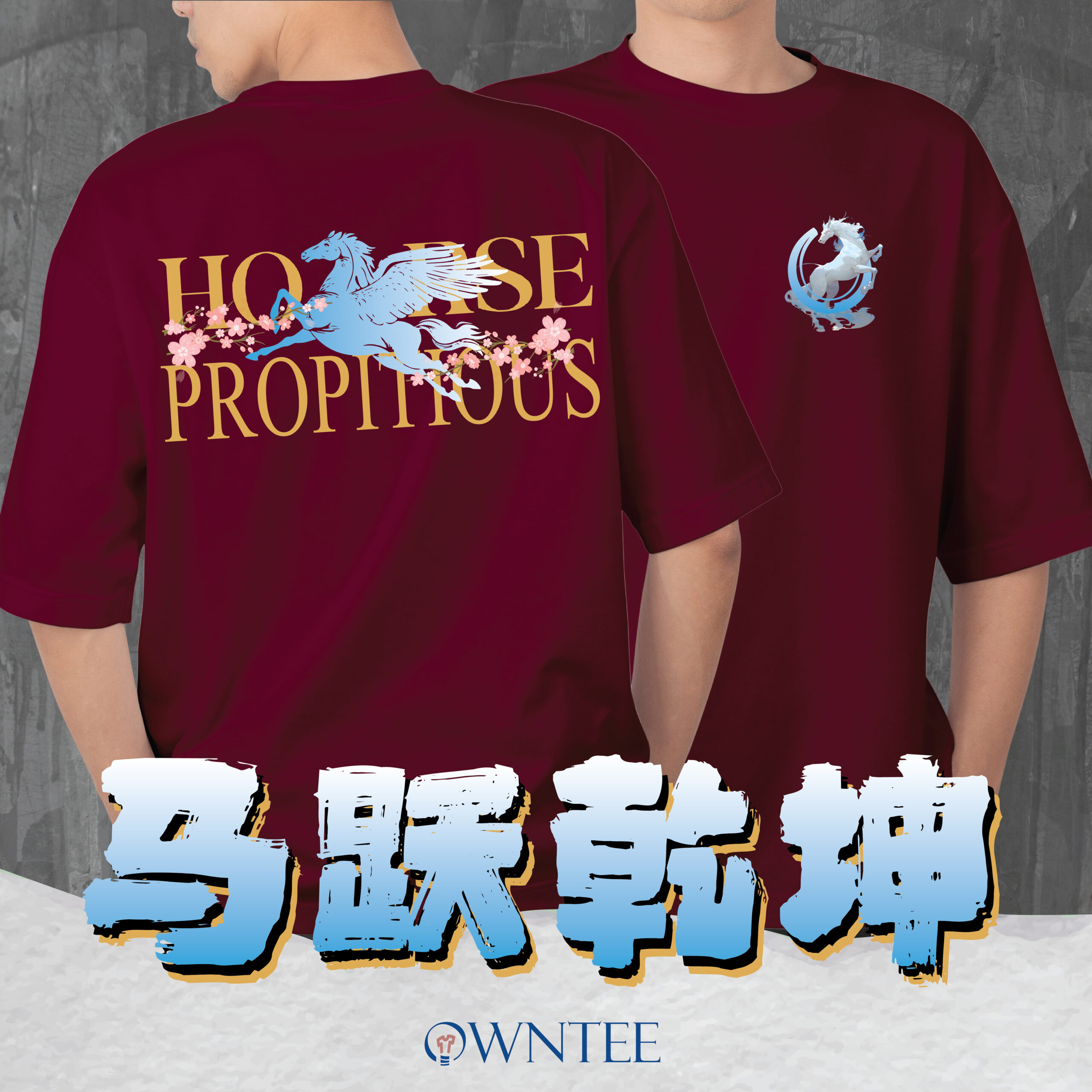 马跃乾坤 HORSE PROPITIOUS website-01