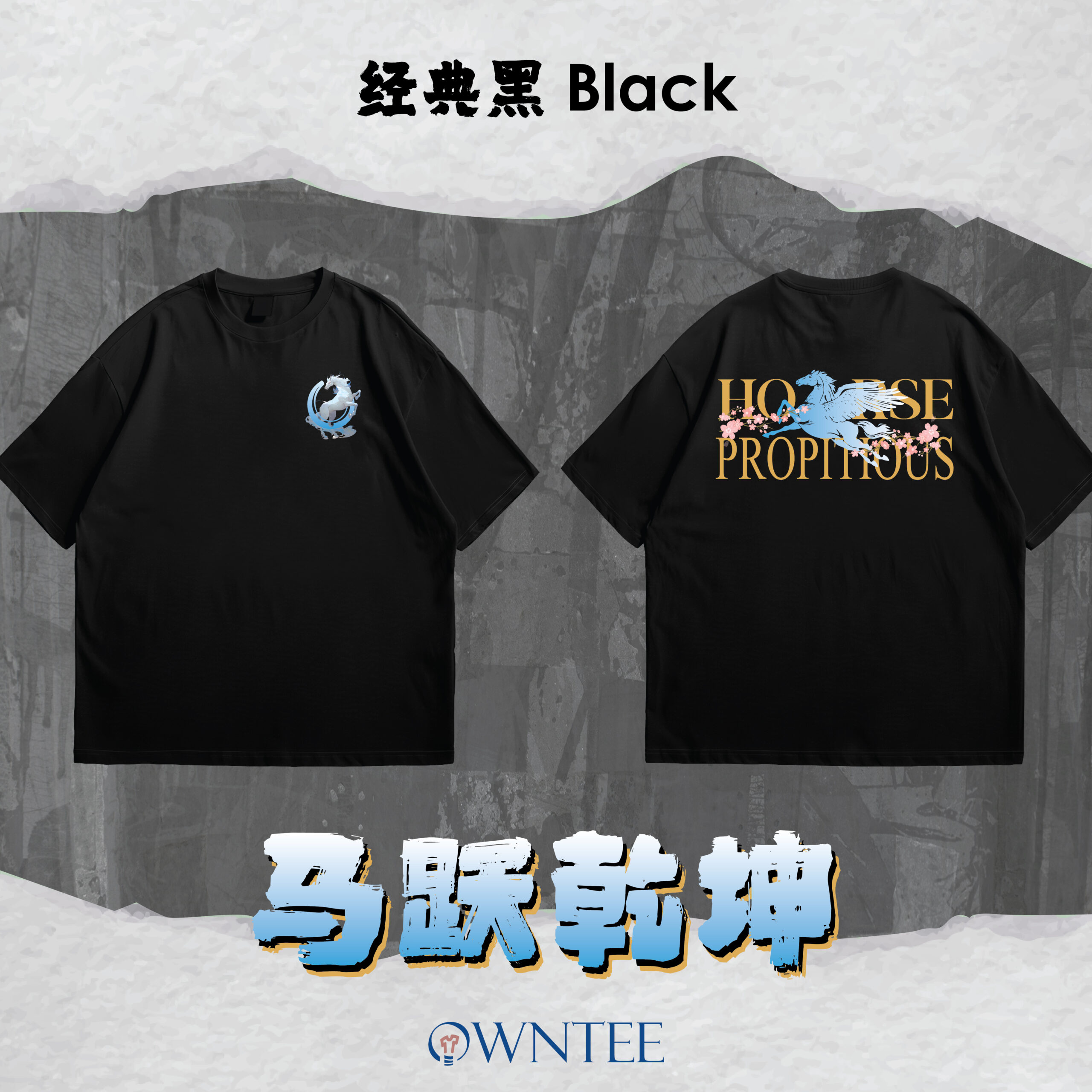 马跃乾坤 HORSE PROPITIOUS website-02