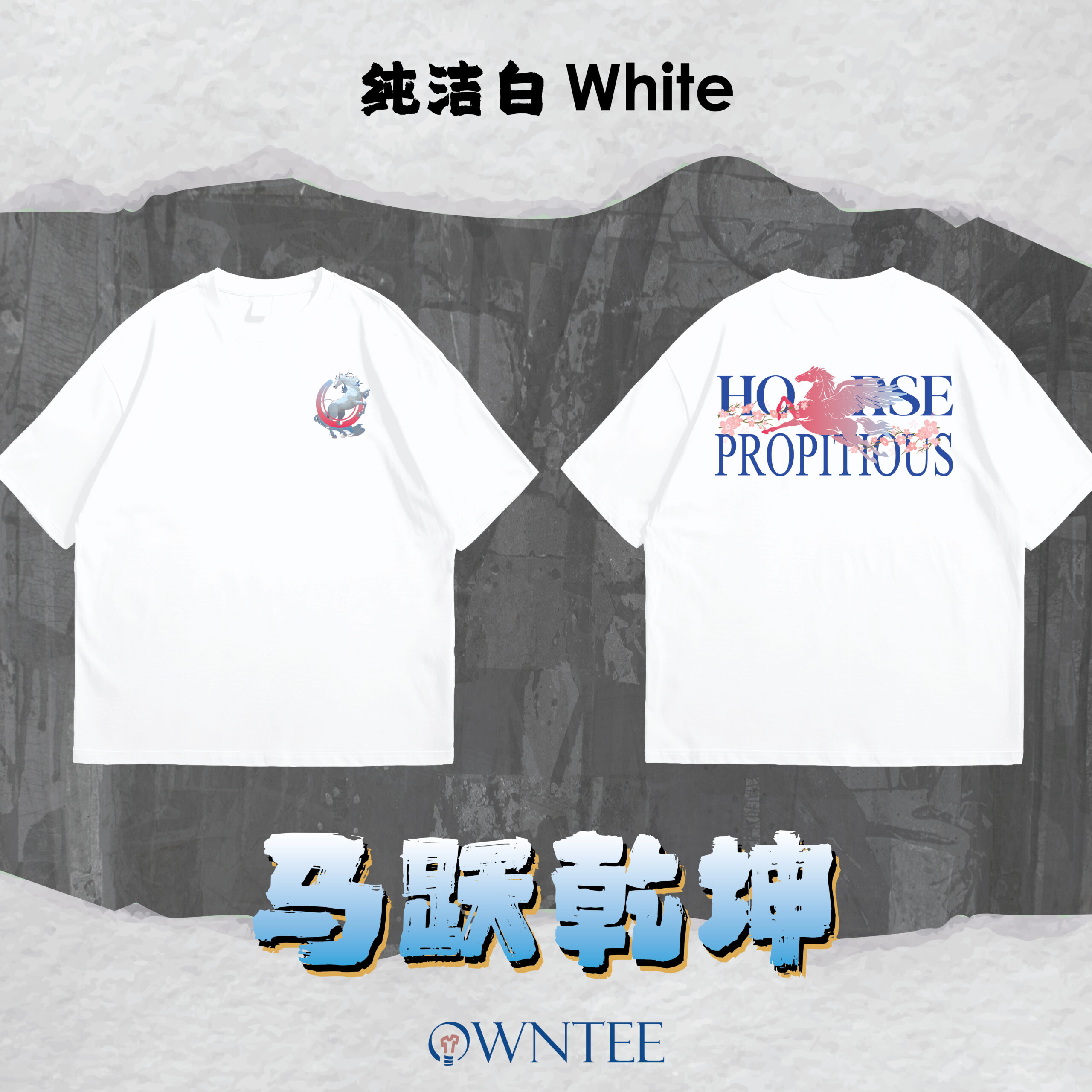 马跃乾坤 HORSE PROPITIOUS website-03