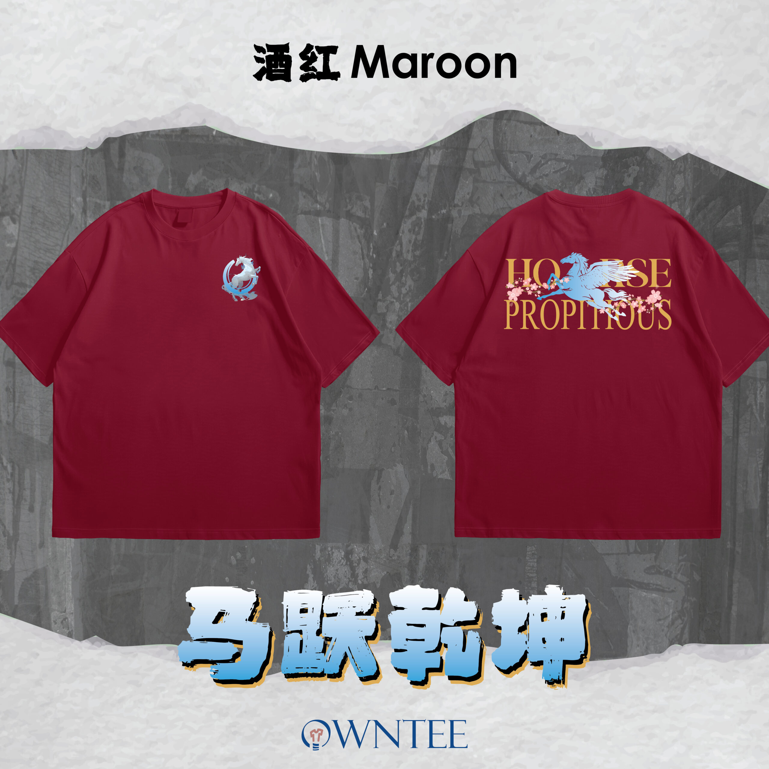 马跃乾坤 HORSE PROPITIOUS website-04