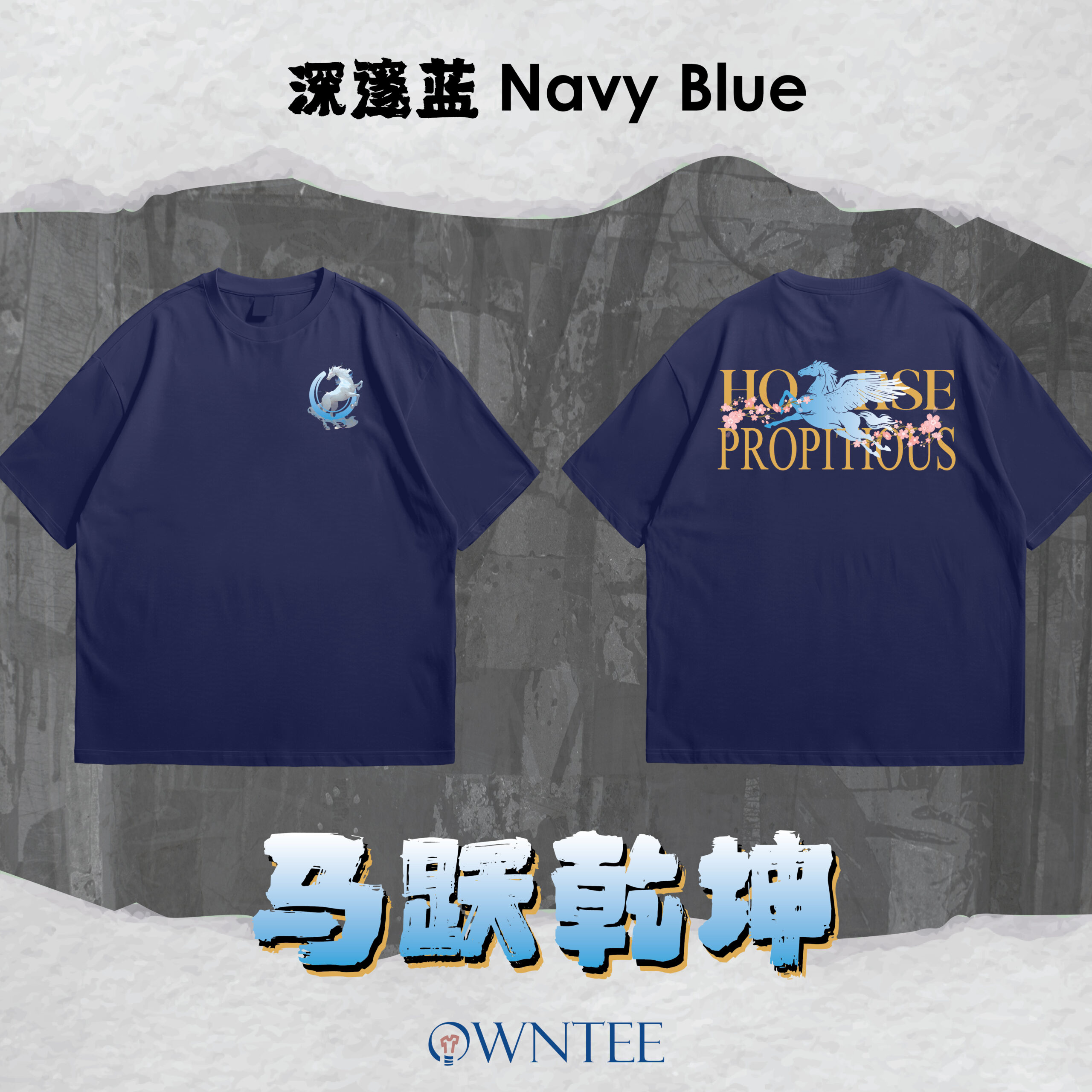 马跃乾坤 HORSE PROPITIOUS website-05