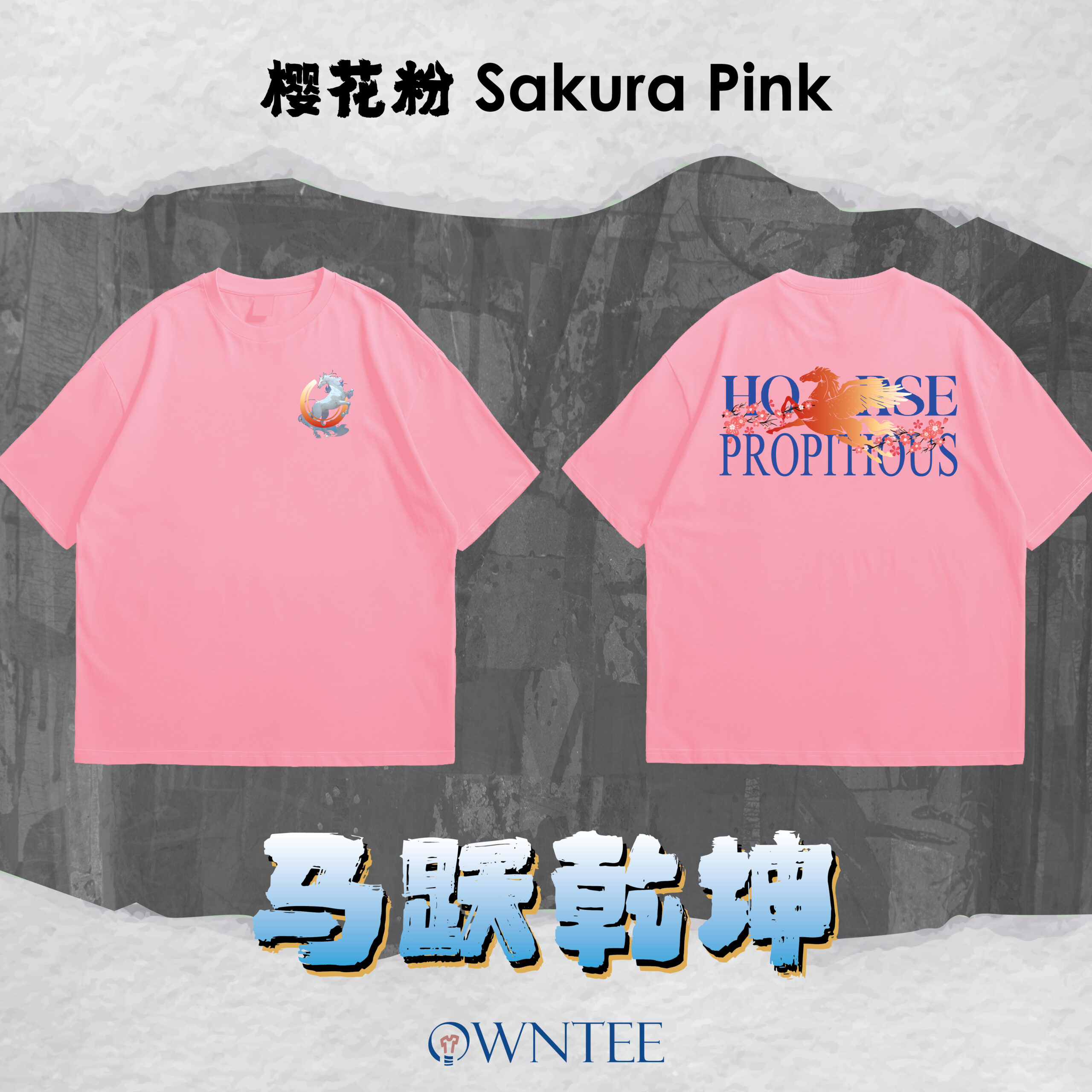 马跃乾坤 HORSE PROPITIOUS website-06